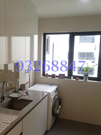 NV Residences (D18), Condominium #80975732